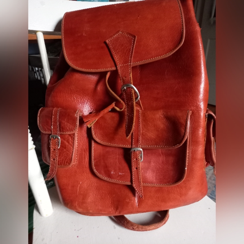 Leather Purse / Backpack